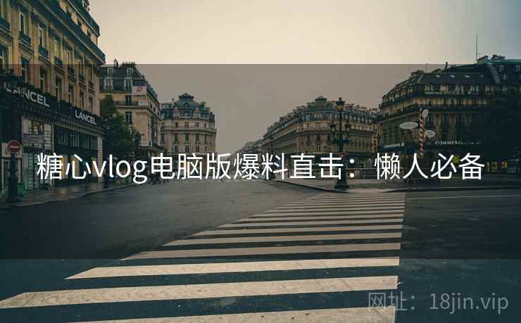 糖心vlog电脑版爆料直击：懒人必备