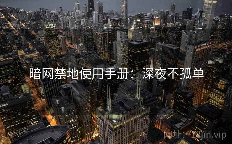 暗网禁地使用手册:深夜不孤单 暗网禁地使用手册:深夜不孤单