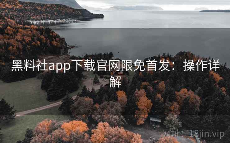 黑料社app下载官网限免首发：操作详解