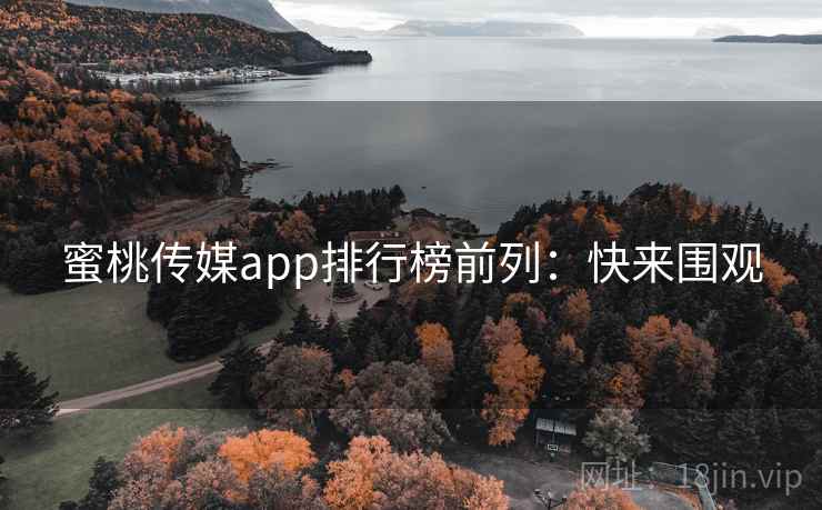 蜜桃传媒app排行榜前列：快来围观